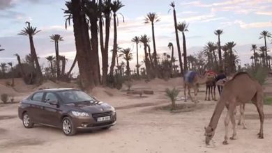 Photo of Peugeot Route 301 au Maroc – Jour 1 (South Route, Etape 9) – Vidéo Officielle