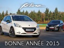 Une heureuse et féline année 2015 !