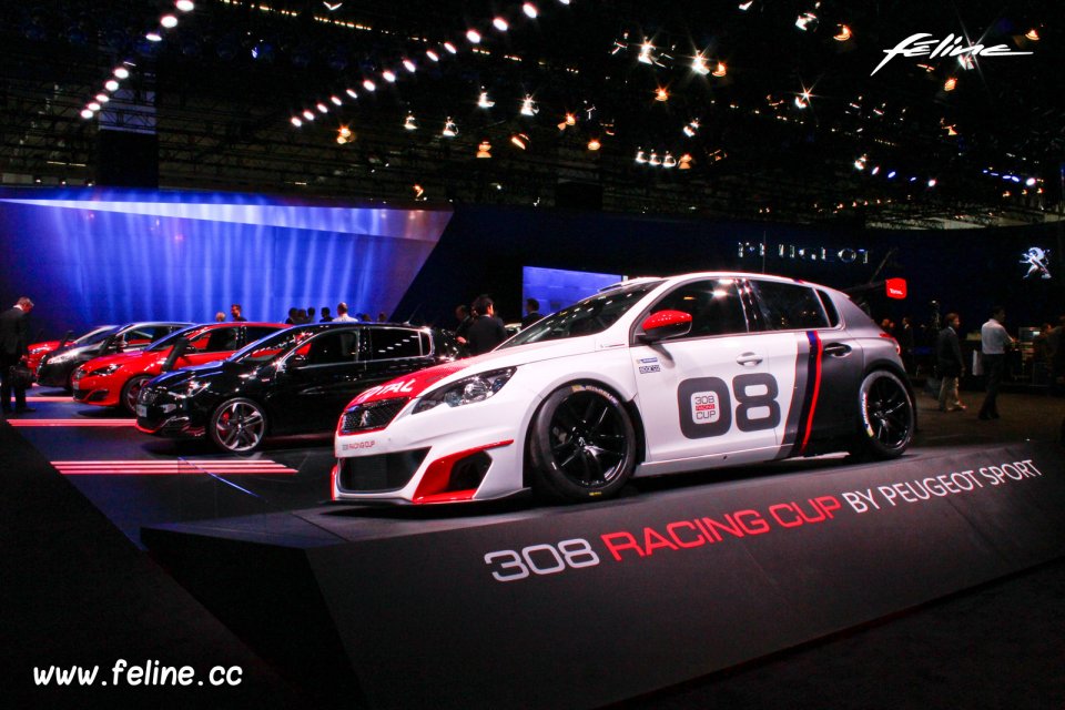 Photo Peugeot 308 Racing Cup - Salon de Francfort 2015