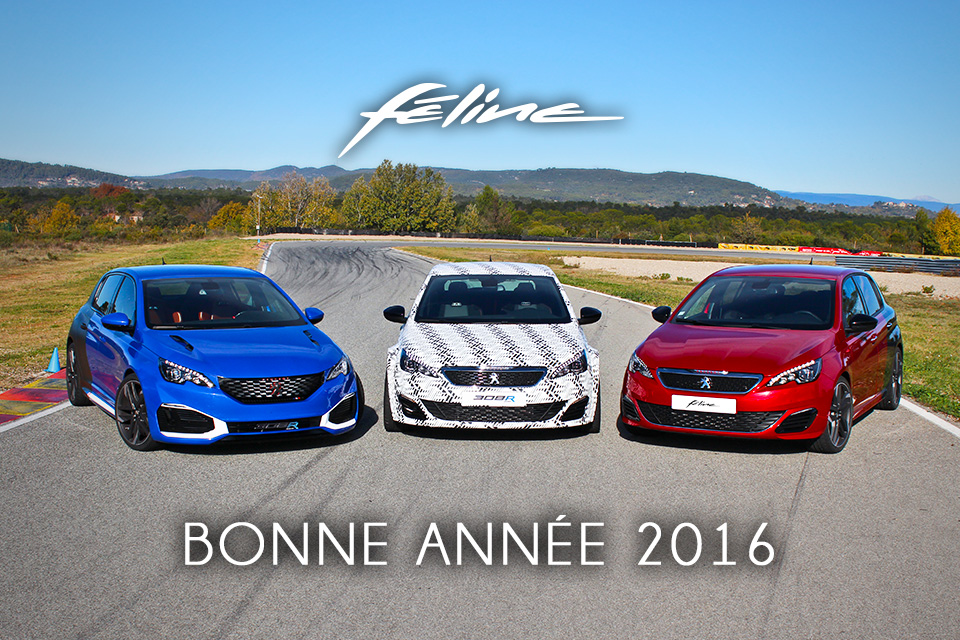 Une heureuse et féline année 2016 !