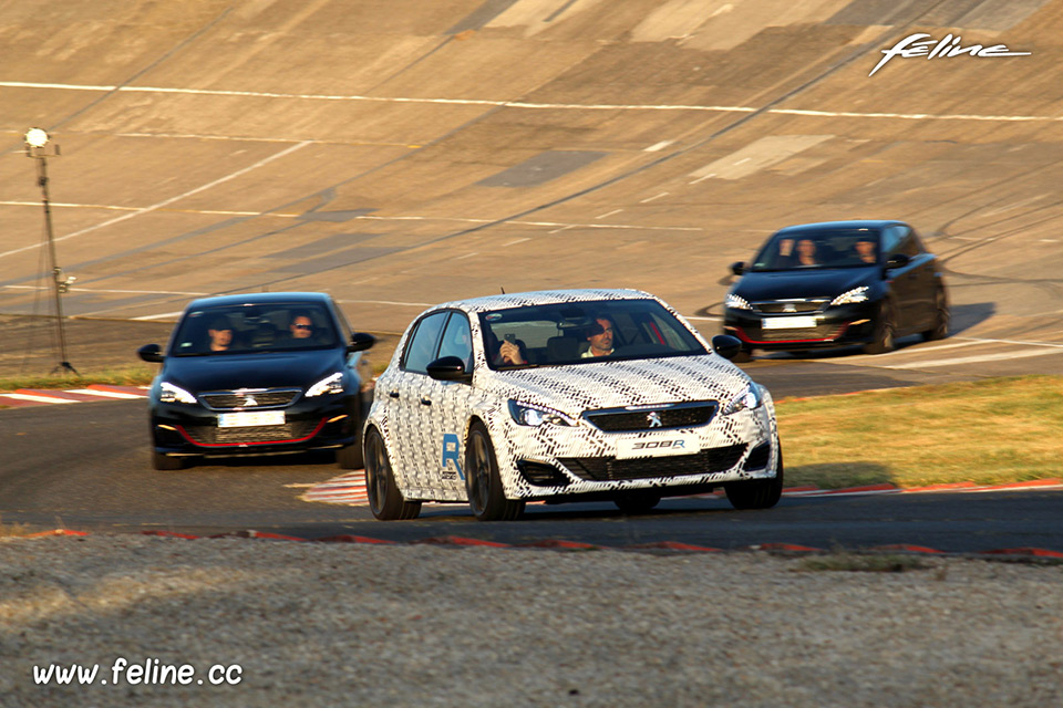 Photos : Peugeot aux Grandes Heures Automobiles 2016