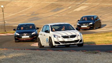 Photo of Photos : Peugeot aux Grandes Heures Automobiles 2016