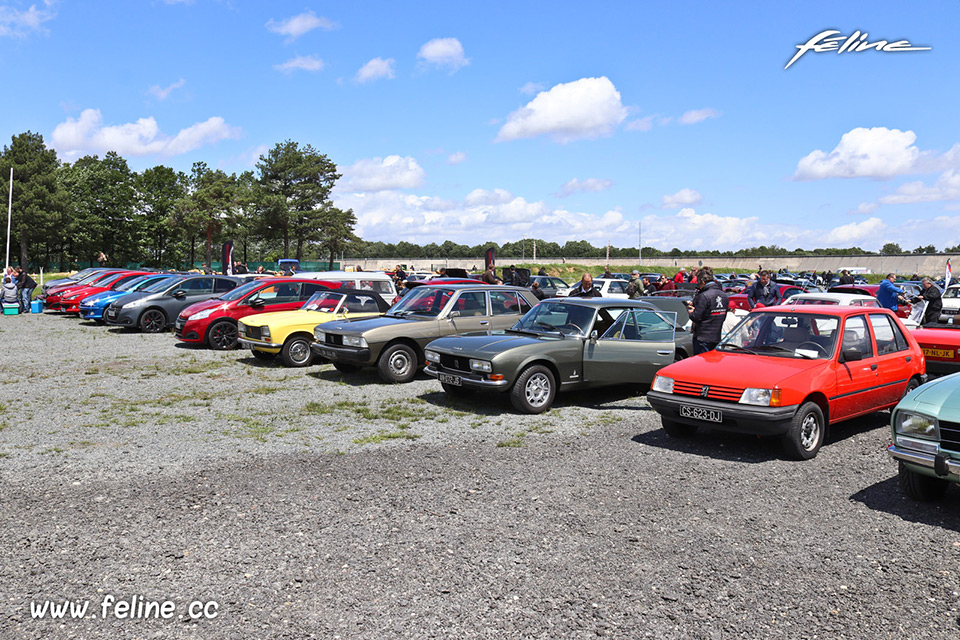 Photos : les Peugeot à l’honneur au festival « Liberté, Egali