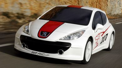 Peugeot 207 RCup Concept 2006