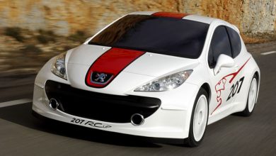 Peugeot 207 RCup