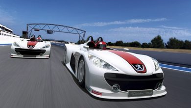 Peugeot Spider 207 Concept