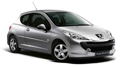 Peugeot 207 Rugby World Cup