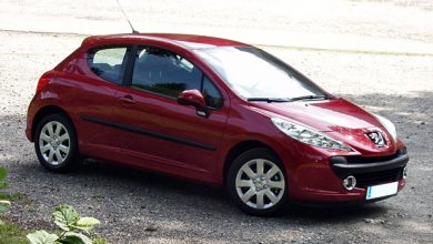 Peugeot 207 Sport