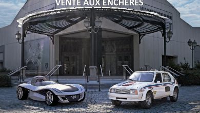 Photo of JEP 2020 : Vente aux enchères et 5ème Bourse Classic de l’Aventure Peugeot !