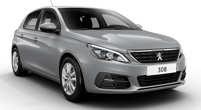 Peugeot 308 Active - Féline