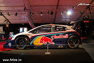 Peugeot 208 T16 Pikes Peak