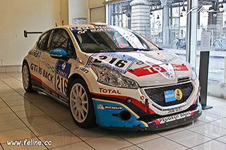 Peugeot 208 GTi Peugeot Sport Nürburgring 2013