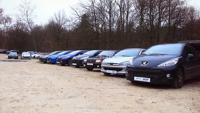 Photo of Grande Rencontre 2014 : Féline dans la Vallée de Chevreuse !