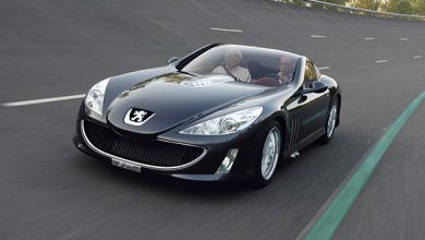 Photo of Peugeot au Goodwood Festival of Speed 2014