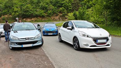 Photo of Grande Rencontre 2014 : Féline à Clermont-Ferrand !