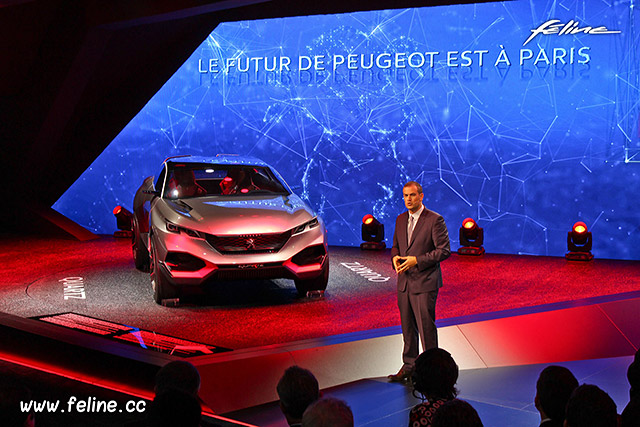 Peugeot - Mondial de Paris 2014