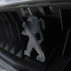 Photo sigle 508 Peugeot Sport Engineered Concept (2018)