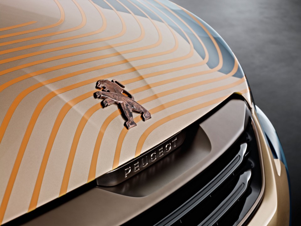 Photo sigles Peugeot 108 Tattoo Concept (2014)