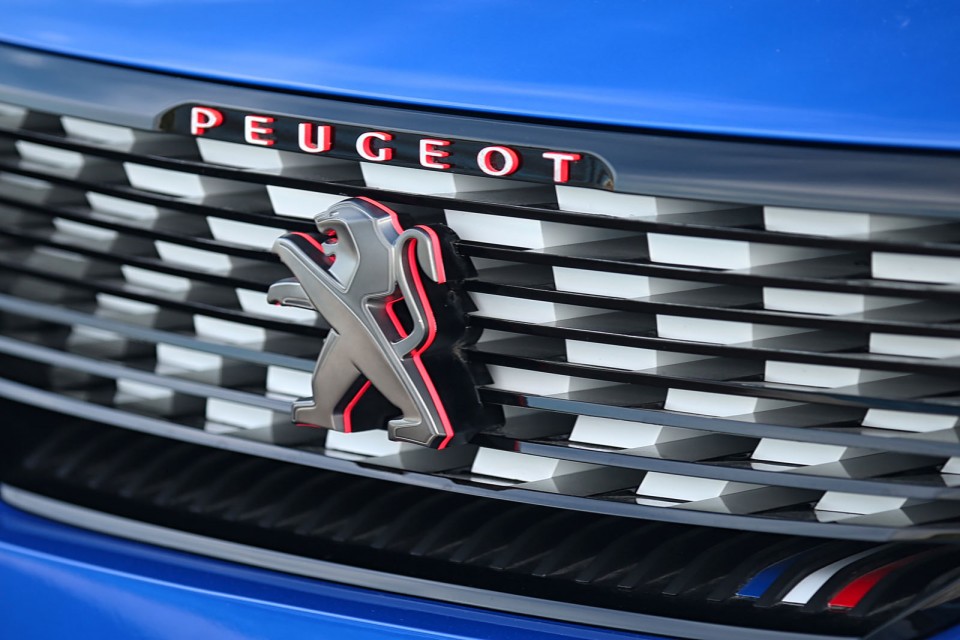 Photo détail calandre Peugeot 308 R HYbrid - Castellet 2015