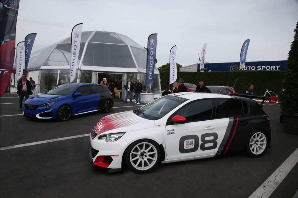 Photo Peugeot 308 Racing Cup et 308 R HYbrid - Castellet 2015