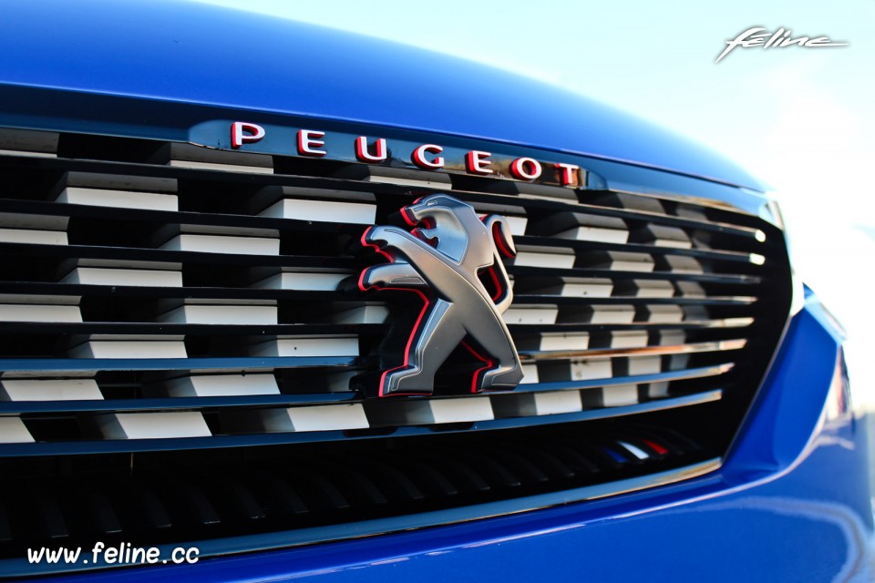 Photo calandre avant Peugeot 308 R HYbrid Showcar (2015)