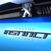 Photo sigle Peugeot Instinct Concept Car (2017)
