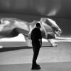 Photo Making Of Lion Monumental Peugeot (2018)