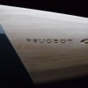 Photo Peugeot GTi Surfboard (2013)