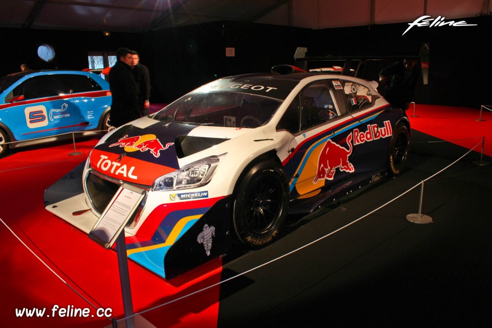 Photo Peugeot 208 T16 Pikes Peak (2013) - Concept Cars 2014 Pari