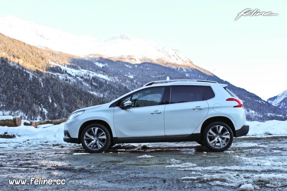 Peugeot 2008 Féline Blanc Nacré - Peugeot Winter Experience 2014