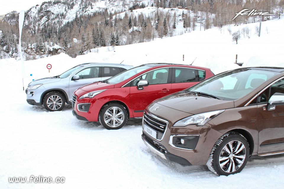 Peugeot Winter Experience 2014