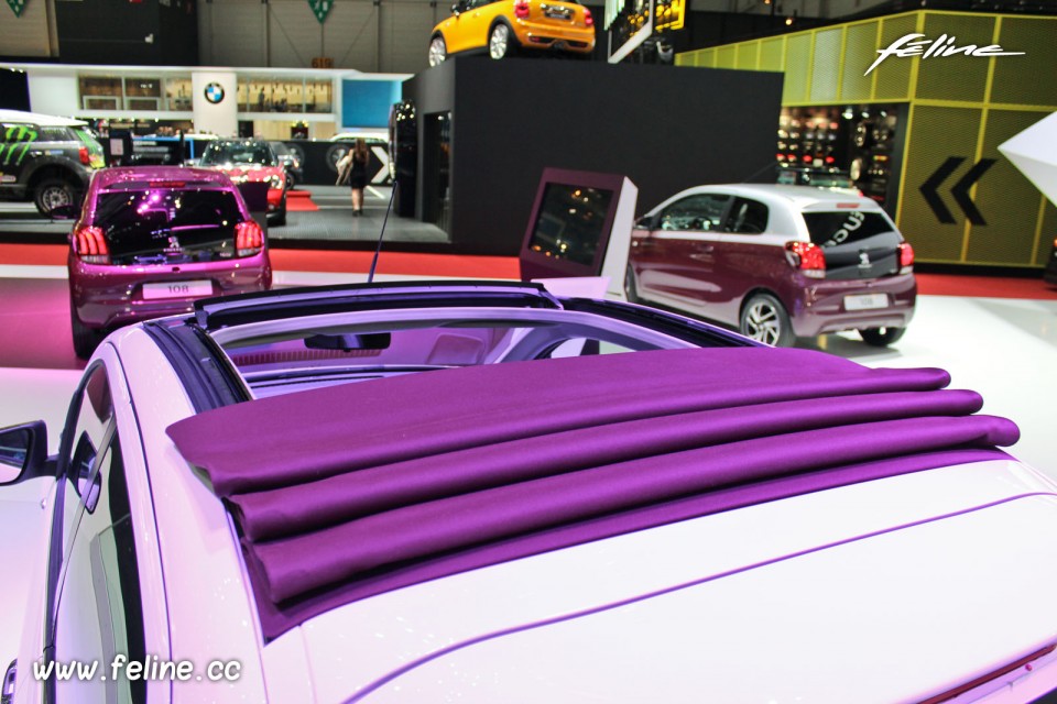 Photo toile de toit ouvrant Red Purple Peugeot 108 Top - Salon d