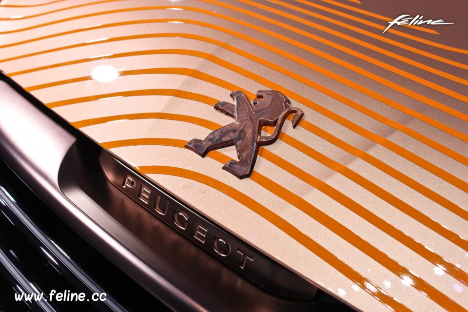 Photo sigles Peugeot 108 Tattoo Concept - Salon de Genève 2014