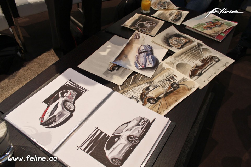 Photo Peugeot Fan Days avec Gilles Vidal - Salon de Genève 2014