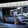 Photo Peugeot Mondial Automobile Paris 2014