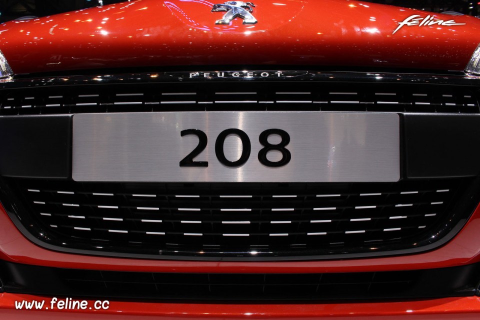 Photo calandre avant Equalizer Peugeot 208 restylée - Salon de