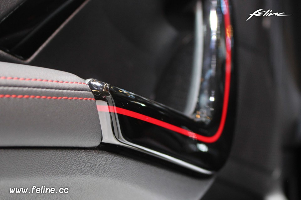 Photo détail poignée de porte Peugeot 208 GT Line - Salon de G