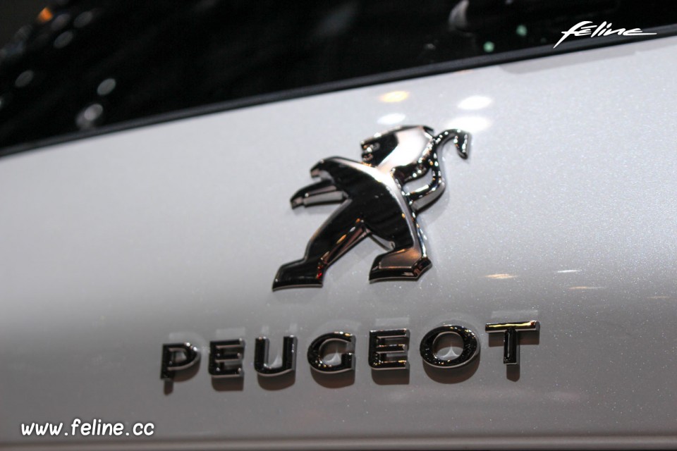 Photo sigle Peugeot 308 GT Line - Salon de Genève 2015