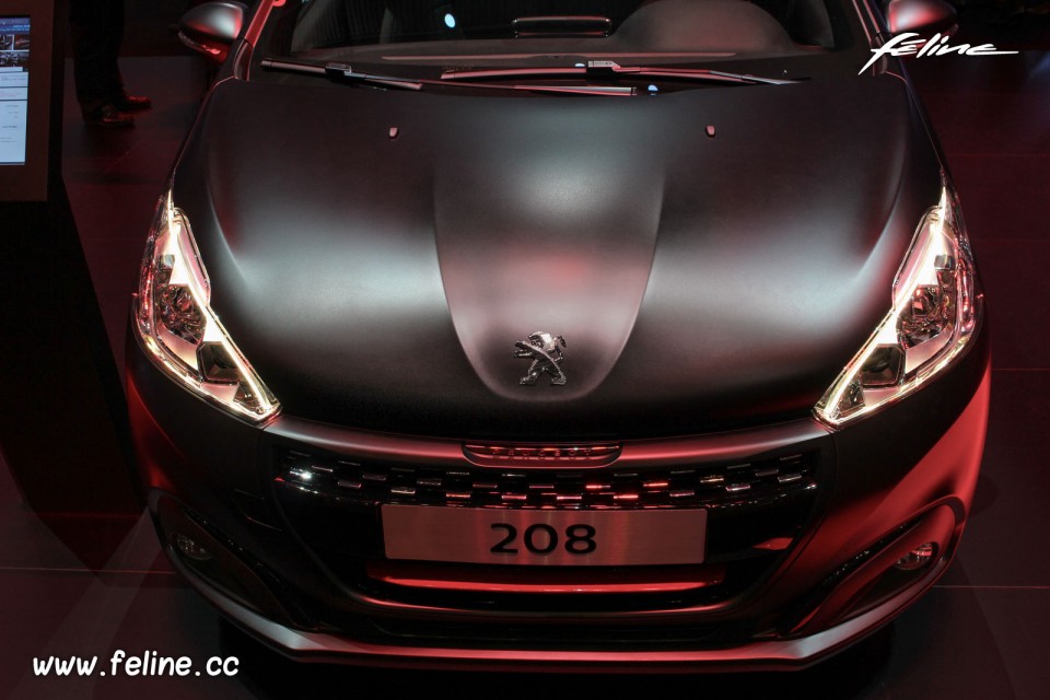 Photo Peugeot 208 GTi by Peugeot Sport - Salon de Genève 2015