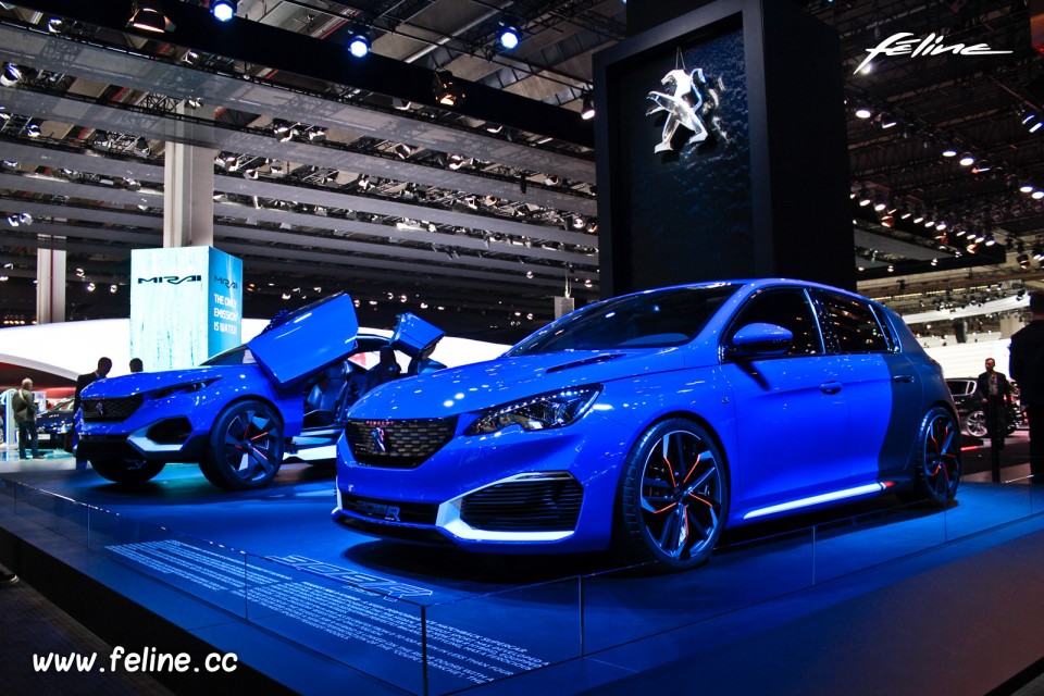 Photo Peugeot 308 R HYbrid (2015) et Quartz Concept (2014) - Sal