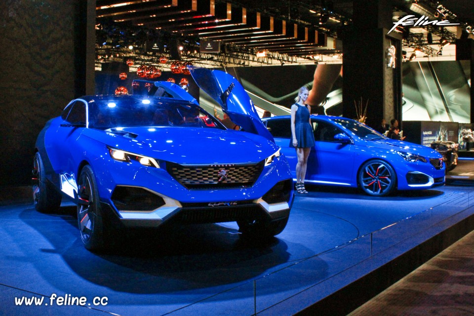 Photo Peugeot Quartz Concept (2014) et 308 R HYbrid (2015) - Sal