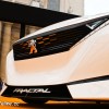 Photo calandre avant Peugeot Fractal (2015) - Expo Concept Cars