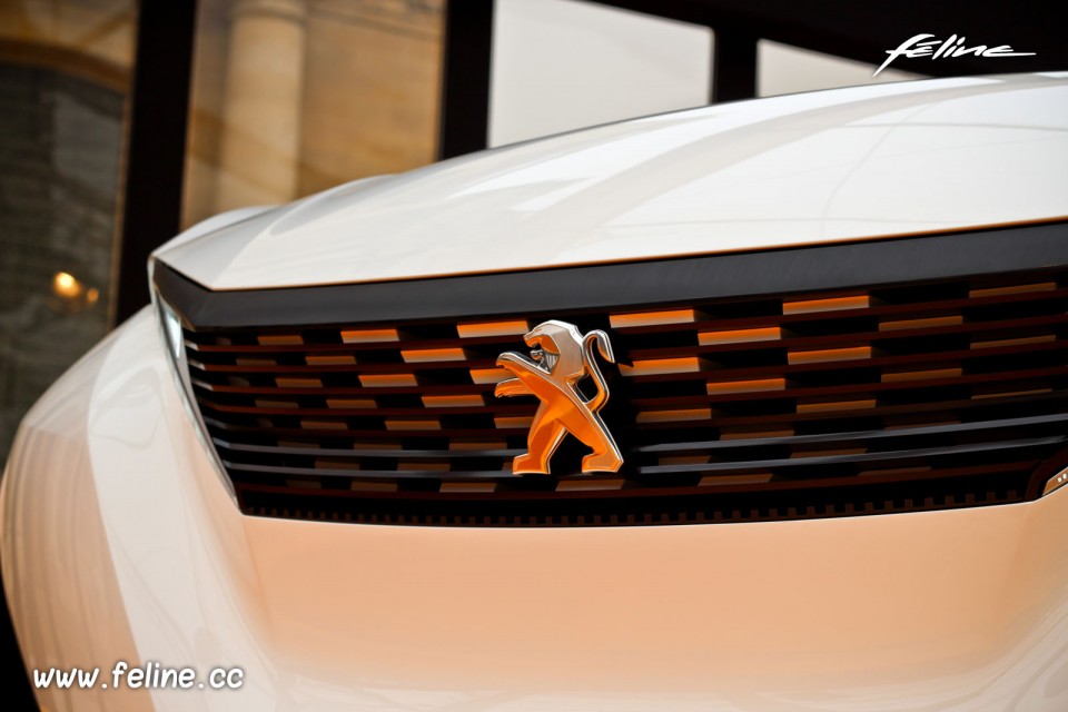 Photo calandre avant sigle Peugeot Fractal (2015) - Expo Concept