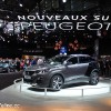 Photo Peugeot 3008 II Coupe Franche Gris Platinium - Salon de Pa