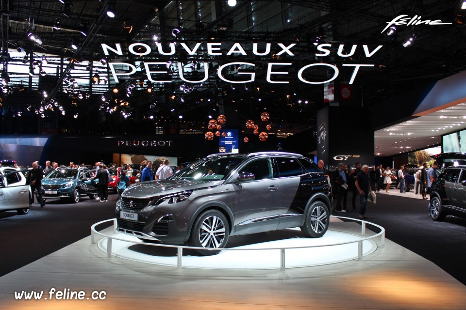 Photo Peugeot 3008 II Coupe Franche Gris Platinium - Salon de Pa