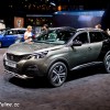 Photo Peugeot 3008 II Coupe Franche Gris Amazonite - Salon de Pa