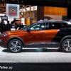 Photo Peugeot 3008 II Coupe Franche Metallic Copper - Salon de P