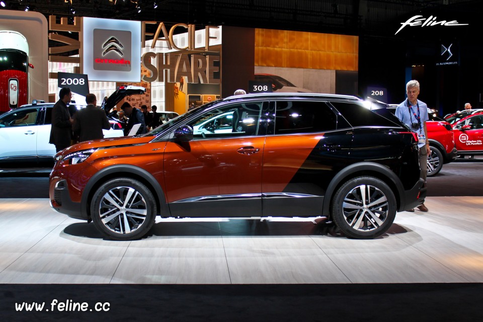 Photo Peugeot 3008 II Coupe Franche Metallic Copper - Salon de P