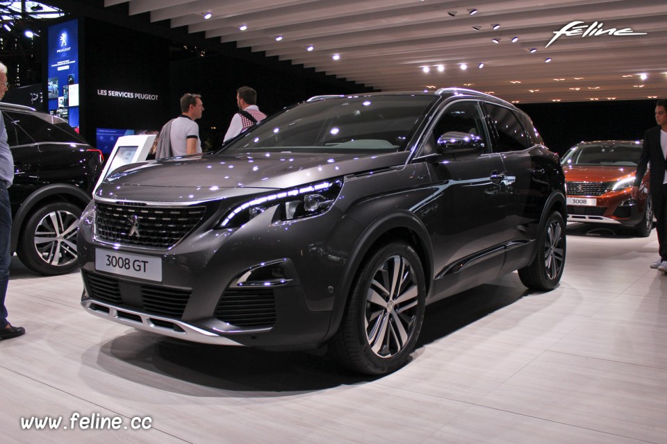 Photo Peugeot 3008 II Coupe Franche Gris Platinium - Salon de Pa