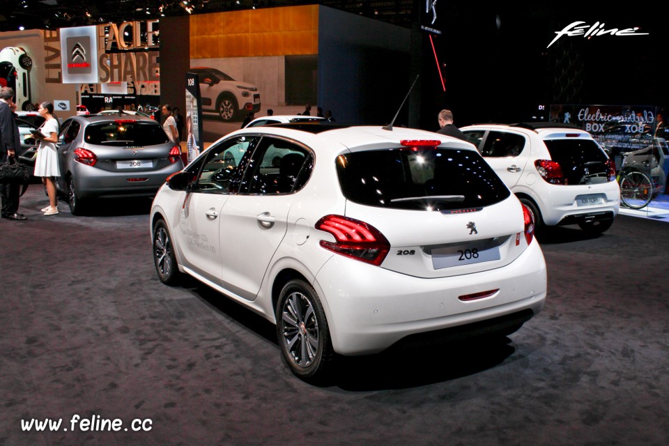 Photo Peugeot 208 Roland Garros - Salon de Paris 2016